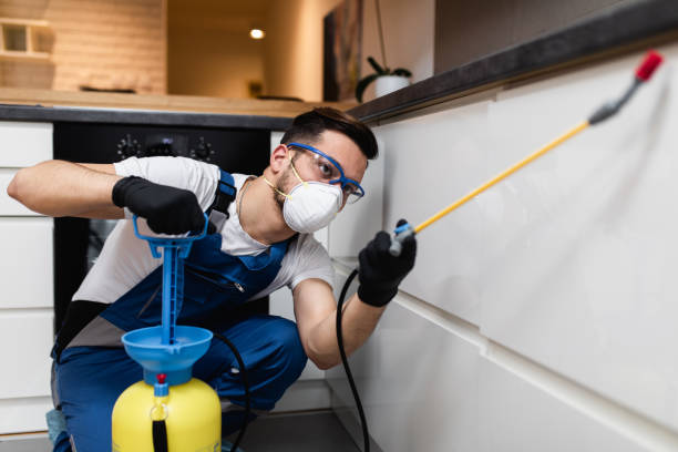 Best Bed Bug Extermination  in Glen Dale, WV