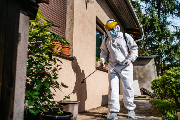 Best Flea Control Services  in Glen Dale, WV