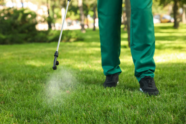 Best Mosquito Control Services  in Glen Dale, WV