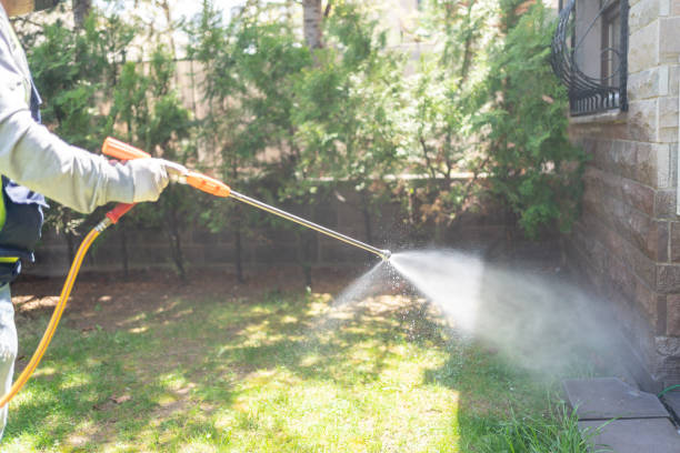 Best Emergency Pest Control  in Glen Dale, WV