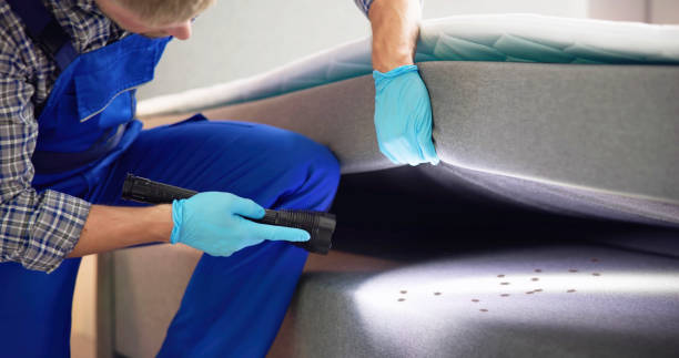 Best Local Pest Control Services  in Glen Dale, WV