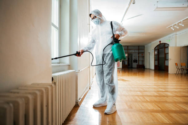 Best Affordable Pest Control Services  in Glen Dale, WV
