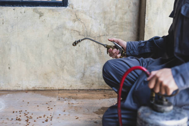 Best Affordable Pest Control Services  in Glen Dale, WV